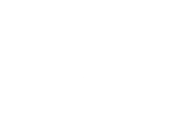 All African Food Stores